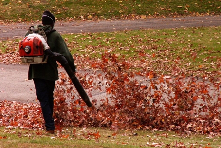 Man blowing leaves